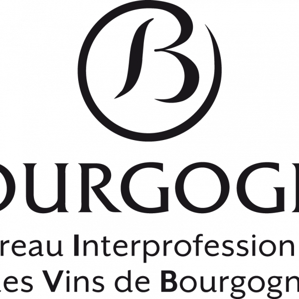 —, —, https://www.vins-bourgogne.fr/
